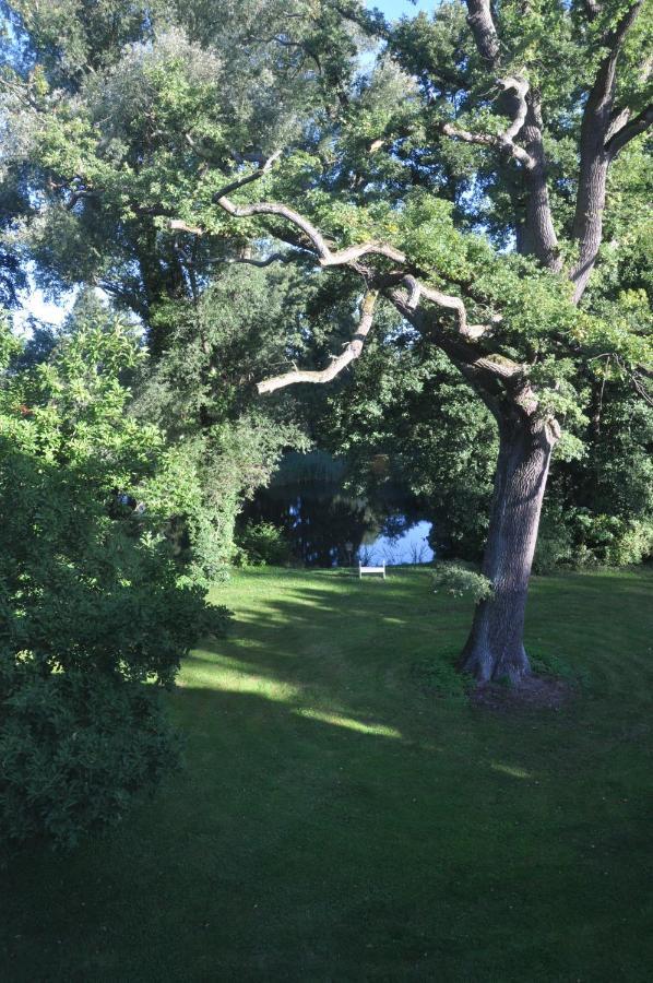 Gartenzimmer Im Schloss Neuhausen Neuhausen  Exteriör bild