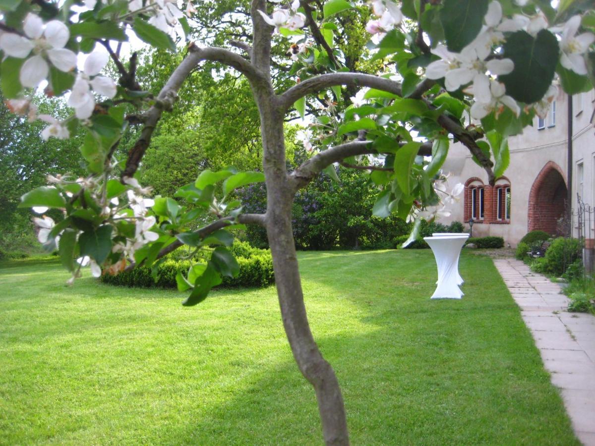 Gartenzimmer Im Schloss Neuhausen Neuhausen  Exteriör bild
