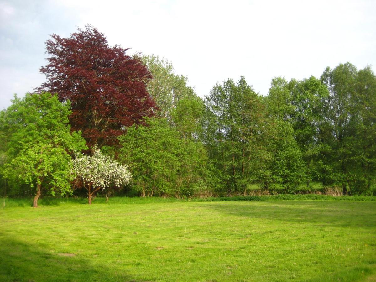 Gartenzimmer Im Schloss Neuhausen Neuhausen  Exteriör bild