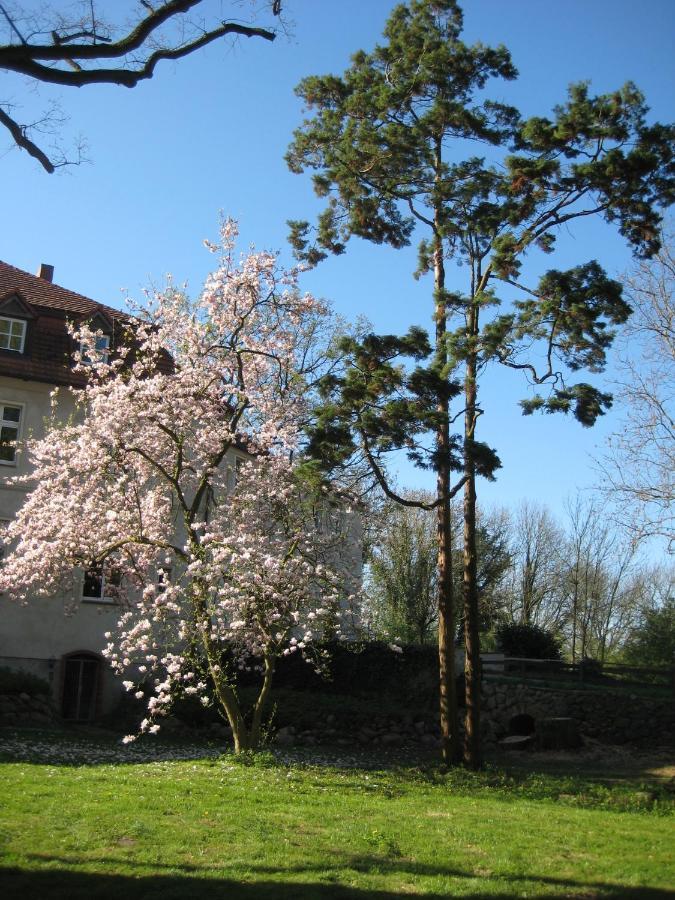 Gartenzimmer Im Schloss Neuhausen Neuhausen  Exteriör bild